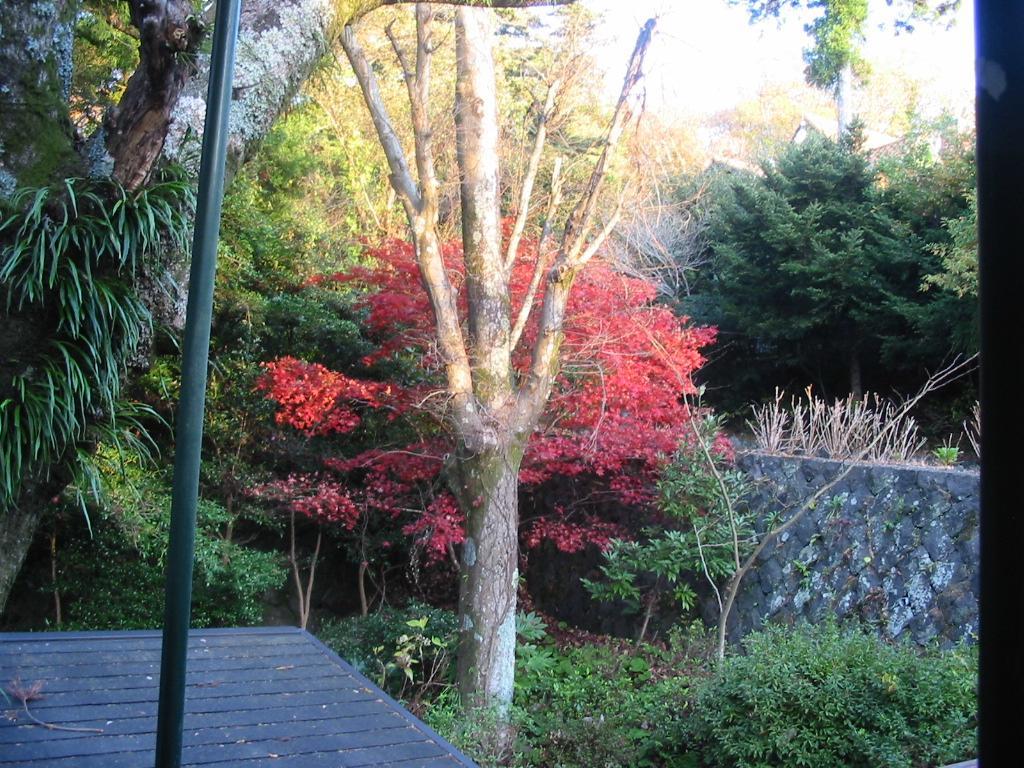 Pension Nova Atami  Exterior foto